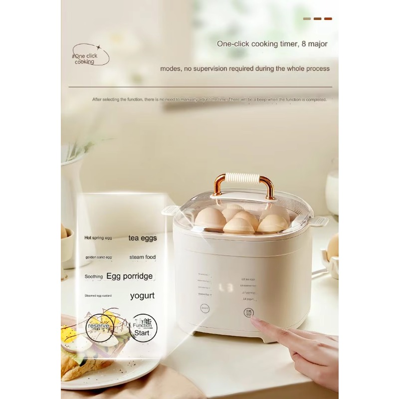 다기능 신형 주방 이중층 전기 계란찜기 홀더, 빠른 계 - Egg Cooker Rapid 리뷰 및 가격